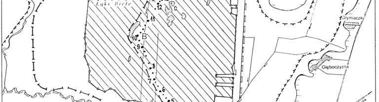 Contour map of studied area in Biele Suchowolskie; 1 peatland s border, 2 the extent of fire in 2002, 3 the extent of fire in 1965, 4 sampling points along the transect, 5 border of the Biebrza