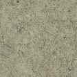 4509 302 (old: 3587 302)