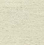 4 cm 22.9 x 121.