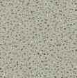 Square