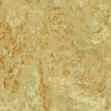 5 mm: 1872 631 Tiles: 1883