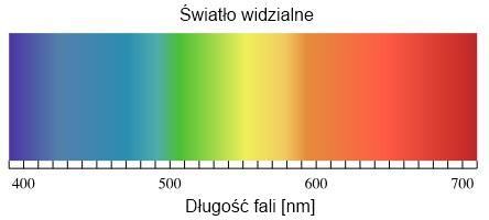 Receptory, które reaguj na ±wiatªo to czopki i pr ciki w naszych oczach.