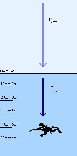 M. Przybyªa (Triton Ko±cian) Fizyka 15 / 47 Ci±nienie hydrostatyczne i absolutne Zanurzaj c si pod wod napiera na nas pionowy sªup wody.