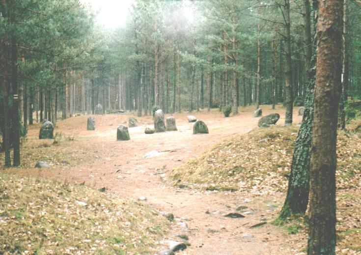 str. 4 przez G. Ossowskiego, archeologa prowadzącego wykopaliska jeszcze w XIXw.- jeszcze wtedy nie istniało pojęcie; kultura wielbarska. Centralny krąg kamienny cmentarzyska w Węsiorach.