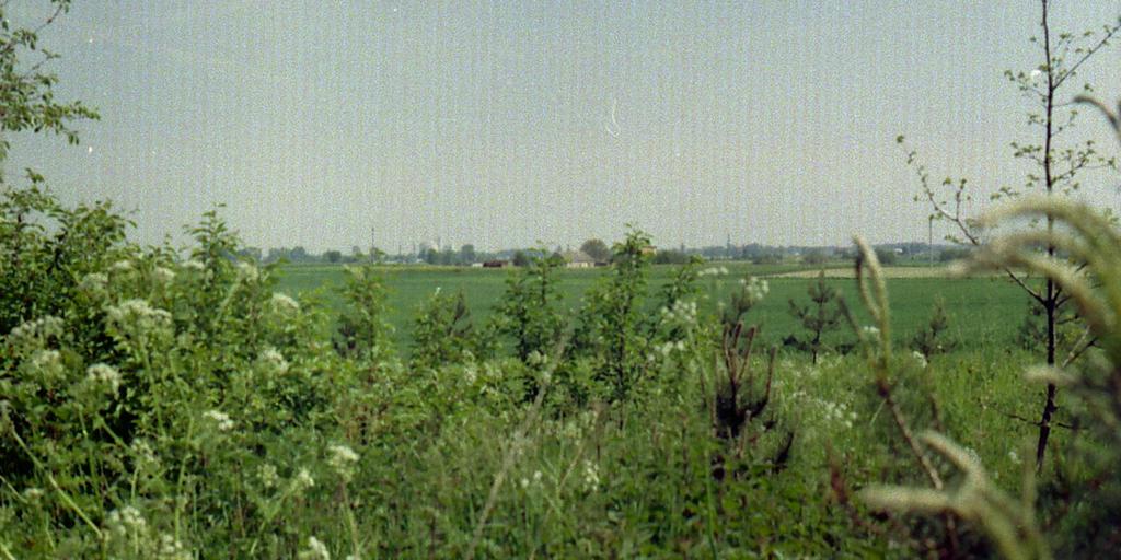 ODEJŚCIE GOTÓW DO NOWYCH SIEDZIB- nad Morze Czarne Wędrówka, zmiana miejsca zasiedlenia była naturalnym zachowaniem się ludności wcześniejszych epok kiedy to plemiona wędrowały z jednego na drugie