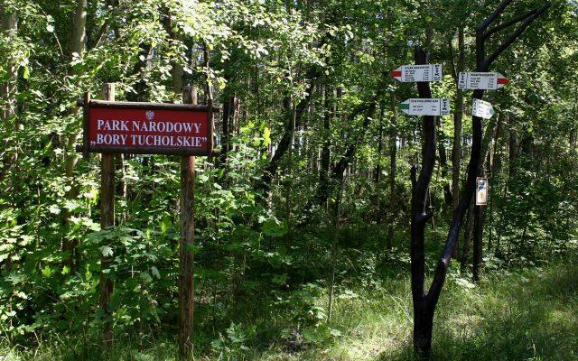 Zabiorę Was w podróż rowerową w różne zakątki Świecia oraz Borów Tucholskich, które znajdują się w okolicy i mają do