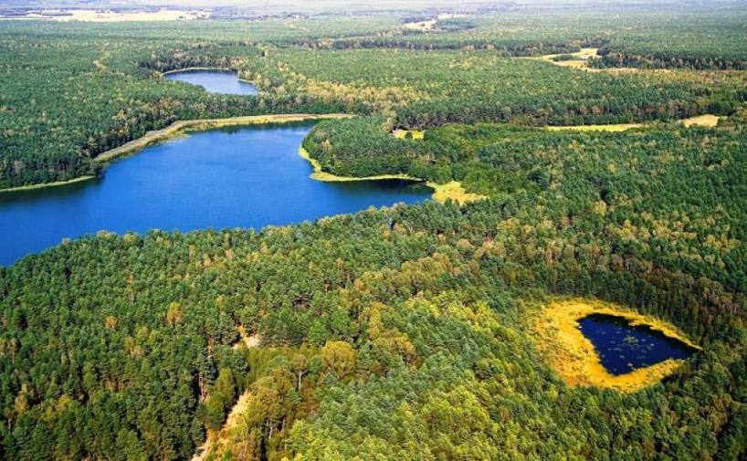 Sandrowa równina Borów Tucholskich jest bogata w liczne długie i głębokie jeziora oraz płytsze jeziora