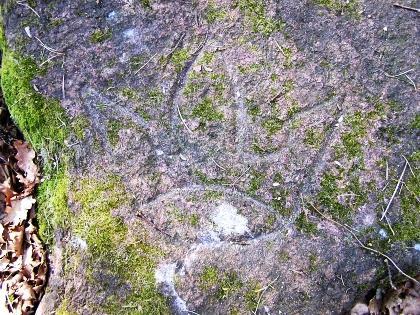 Jest to jeden z największych na Pomorzu głaz narzutowy przyniesiony przez lądolód zlodowacenia bałtyckiego.