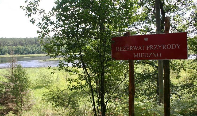 Znajduje się on w Gródku (gmina Drzycim). 6. Na kolejną wycieczkę zapraszam do Gminy Osie. Znajdują się tam ciekawe rezerwaty przyrody.