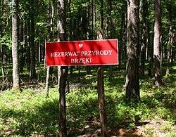 bagiennej, porastające cztery śródleśne jeziorka.