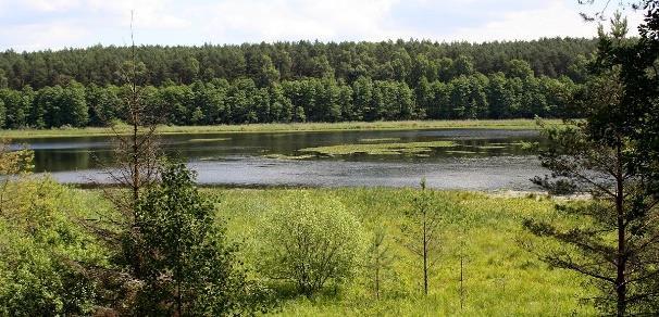 Nie można tam dojechać samochodem, tylko rowerem lub dojść pieszo. 11. Wracając z Osia do Świecia należy odwiedzić również Elektrownię Żur.