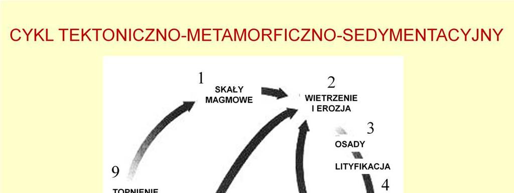 Transport materii na Ziemi tworzy cykl tektoniczno-metamorficznosedymentacyjny: znaczna część materiału mineralnego skorupy i płaszcza ziemskiego krąŝy w zamkniętym cyklu.