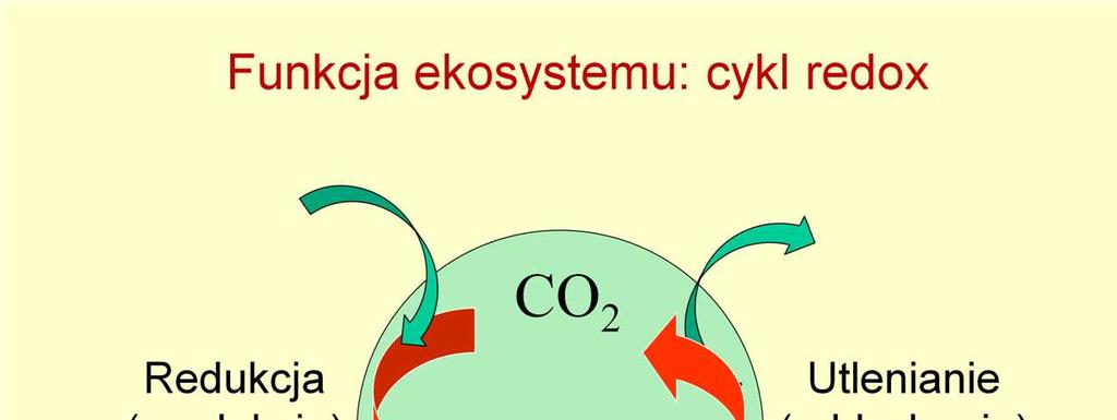 Cykl redoks węgla jest funkcją całej biosfery, ale jest teŝ