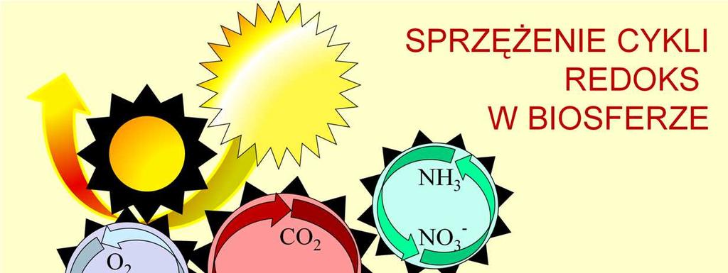 Cykl redoks węgla, napędzany energią słoneczną,