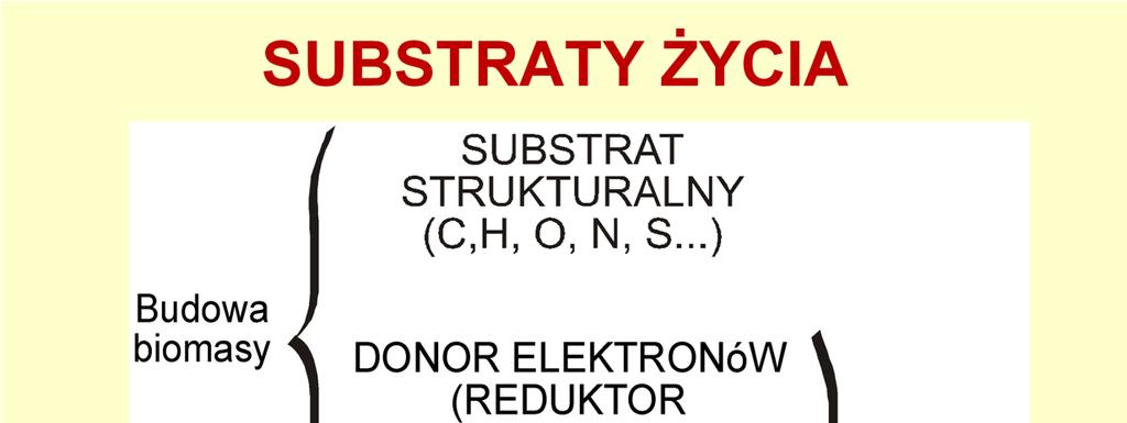 Proces Ŝycia realizowany jest w oparciu o odpowiednie substraty: strukturalny, dostarczający składników do budowy ciała, oraz energetyczny, zawierający potencjał redoks, umoŝliwiający wykonanie