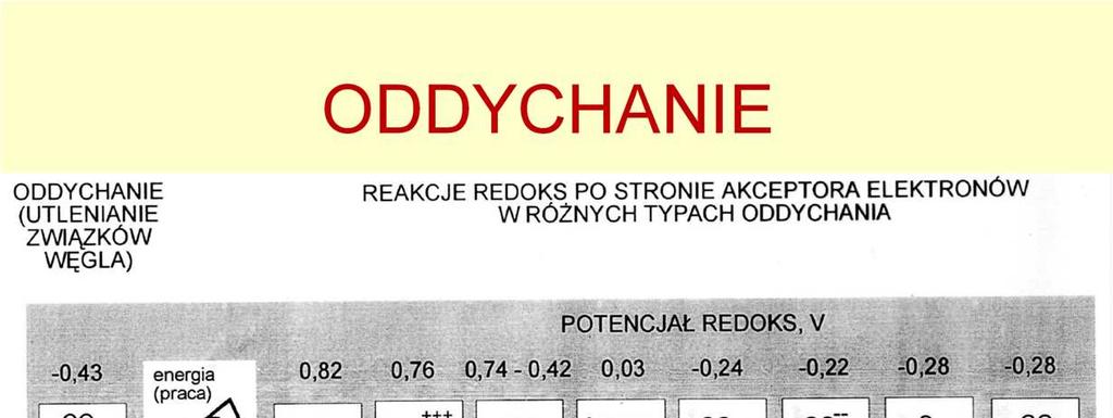 Rozmaitość substratów wykorzystywanych przez organizmy w celu uzyskania energii w procesie oddychania. Najbardziej rozpowszechniona procedurą to oddychanie tlenowe.