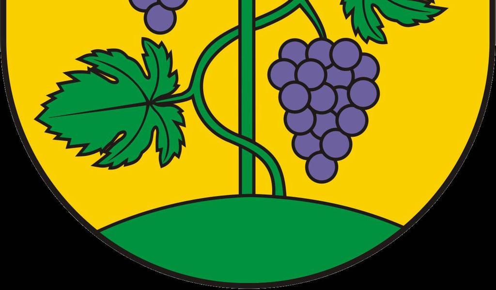 szczepienie przypominające: co 6 miesięcy od ostatniego szczepienia (jest dopuszczalny 21 dniowy okres karencji); żadne szczepienie przypominające nie może się odbyć później niż na 7 dni przed