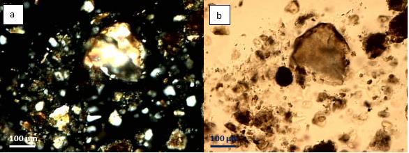 (nikole II), a) próbka 3, b) próbka 5 Ryc. 4.