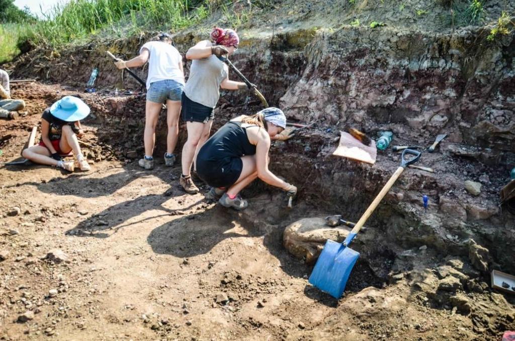 Miedarach udostępniający warstwy kościonośne (Fot.