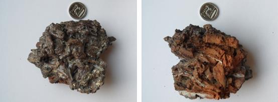 szkieletowo-dendrytyczne. Obecność magnetytu w fulgurytach jest stosunkowo rzadka, i tłumaczona obecnością magnetytu w skale wyjściowej (w tym przypadku gabrze).