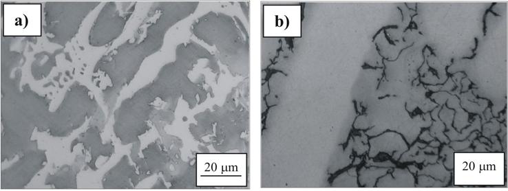 Rys. 5. Austenityczna struktura żeliwa GJ-X340MnNiCu4-3-2. Ek Ni =14% (4). a) odlew kokilowy, b) odlew grubościenny (25 mm). Traw. Mi1Fe Fig. 5. Austenitic structure of GJ-X340MnNiCu4-3-2 cast iron.