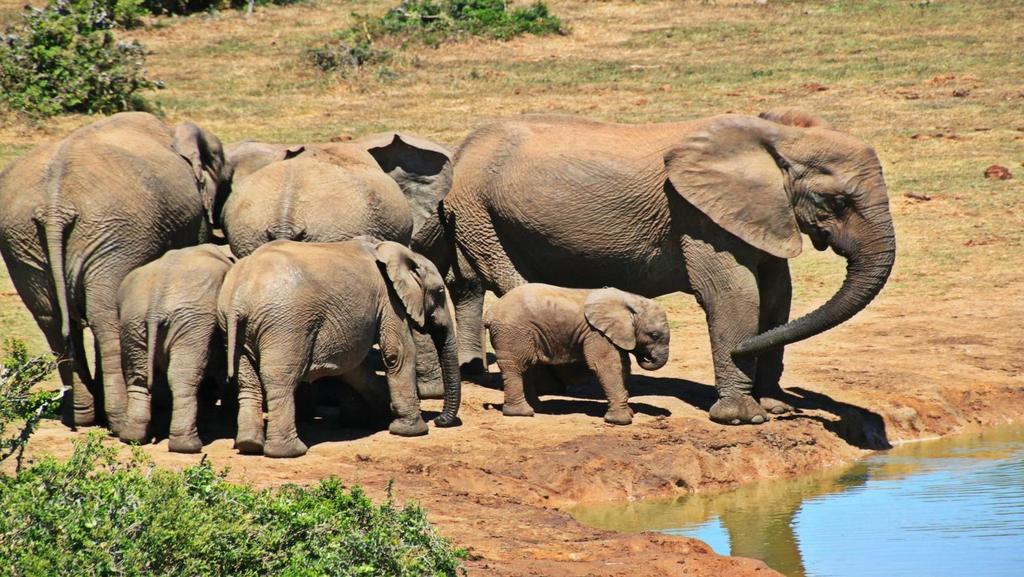 Dzień 9 17-10-2019 Czas Podróży: 8h Dystans: 200km do bramy Etoshy, 200km przez Etoshe Opuwo - Etosha Dzień zaczynamy od wizyty w wiosce Himba, gdzie z lokalnym przewodnikiem poznamy, jak