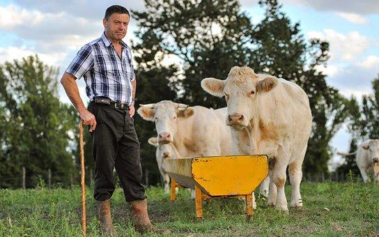 Gospodarstwa edukacyjne korzyści dla rolnika możliwość uzyskania dodatkowego dochodu, przedłużenie sezonu turystycznego, promocja produktów z