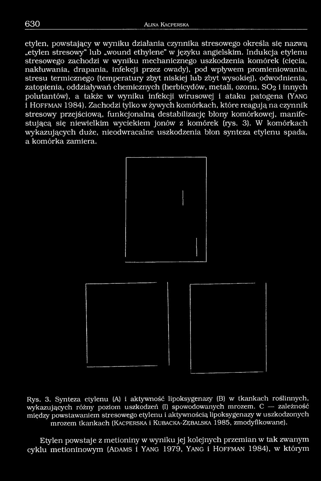 niskiej lub zbyt wysokiej), odwodnienia, zatopienia, oddziaływań chemicznych (herbicydów, metali, ozonu, SO2 i innych polu tan tów), a także w wyniku infekcji wirusowej i ataku patogena (Yang i H o