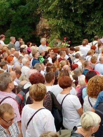 Zdrowie Na grzyby! Pomoc uzależnionym Od lat walczę z mitami dietetycznymi. Bajkami krążącymi w internecie o niezdrowych jajkach, niezdrowym maśle i bezwartościowych grzybach.