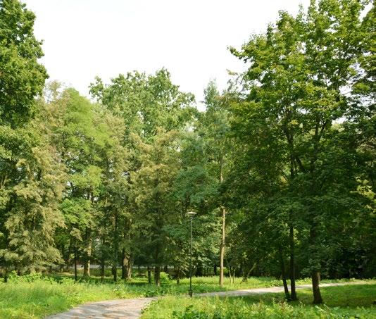 Wyrzucanie ich jako śmieci nieposegregowanych, czyli składowanie bez przetworzenia to najdroższy i najmniej ekologiczny sposób gospodarowania odpadami.