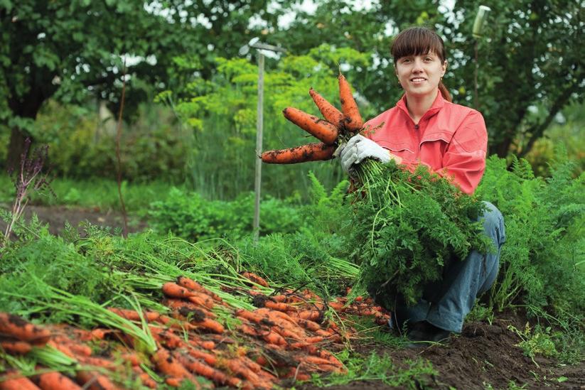 DOM i OGRÓD BioGarden naturalny preparat zwiększający zawartość humusu i fosforu w glebie BioGarden to bakteryjny użyźniacz glebowy, przeznaczony do stosowania zewnętrznego w amatorskiej uprawie