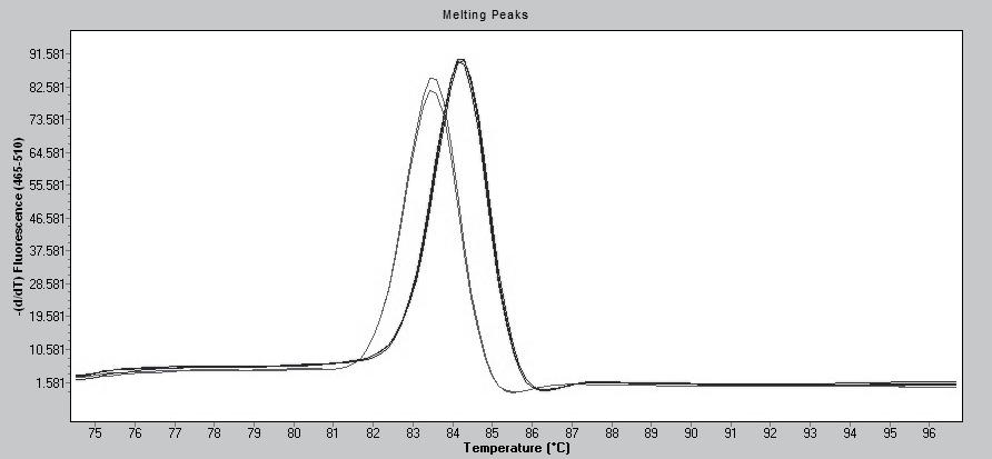 222 The use of PCR-HRM for detection of Bursaphelenchus xylophilus 