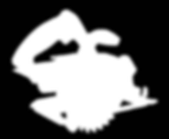 Pilarka tarczowa akumulatorowa Cordless circular saw Аккумуляторная дисковая пила Ref.