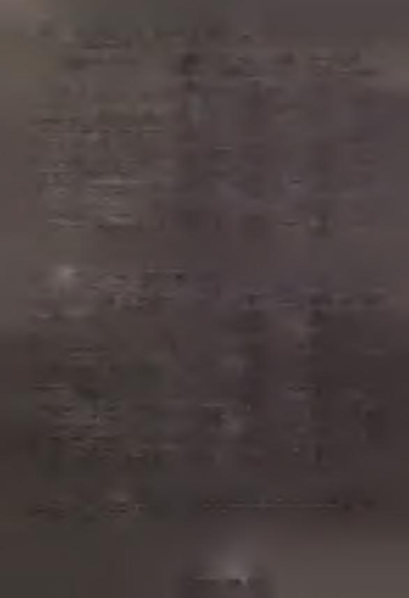 16 Tabl. 15. POWIERZCHNIA I KATEGORIE LASÓW OCHRONNYCH W 1990 R. Stan w dniu 31 XII Kraj w hektarach Województwo kraj=100 0 G Ó L E M... 2679171 160577 6,0 Glebochronne... 137903 2810 2,0 Wodochronne.