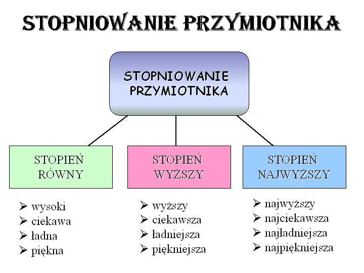 Polska Times Wydanie specjalne 01/2019 Strona 2 www.polskatimes.