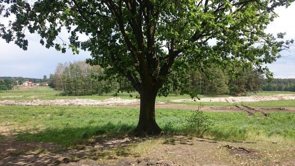 Remont zalewu w Suchedniowie rozpoczęcie odmulania zbiornika Wraz z początkiem sierpnia rozpoczęto długo oczekiwany remont zalewu w Suchedniowie.