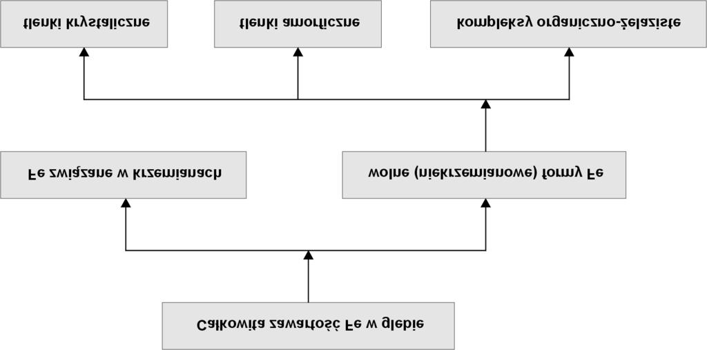 grywają również bakterie żelaziste, powodując zarówno migrację, jak i koncentrację związków żelaza w określonych warunkach.