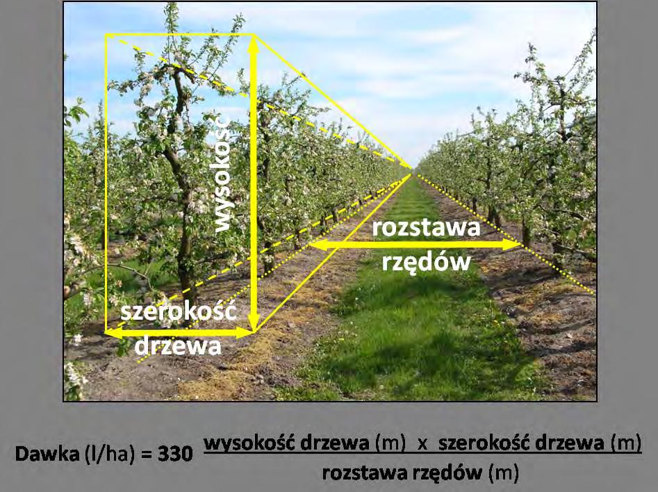 Jakość i