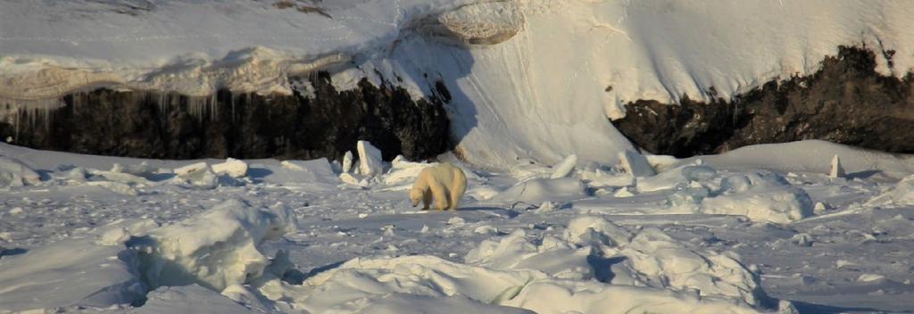 ARKTYCZNA PRZYGODA ARCTIC ADVENTRUE Ciekawi świata Podróżnicy Po ciągłych wyjazdach do ciepłych krajów czas odwiedzić zupełnie odmienne miejsce. Przyszedł czas na mroźny kierunek.