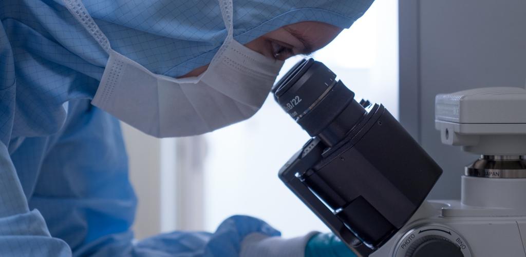 STEM CELLS SPIN Spółka Akcyjna z siedzibą we Wrocławiu Raport kwartalny za