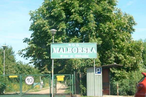 szaty roślinnej i bogactwo fauny, m.in. także jako ostoja zwierząt na trasach ich wędrówek wzdłuż Wisły i między miastem a Puszczą Kampinowską.