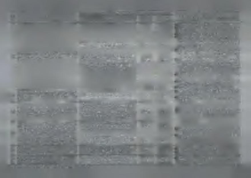 92 93 94 95 96 97 Zapew nienie i utrzym anie w ysoko w ykw alifikow anej kadr}' pracow niczej D olnośląskiego Urzędu W ojew ódzkiego we W rocław iu.