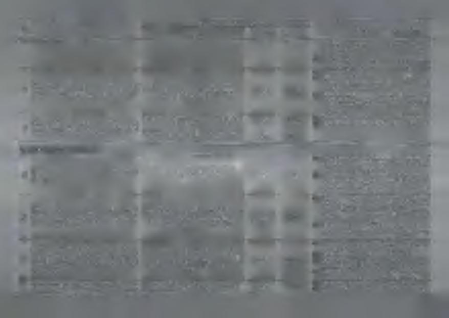 N ajw ażniejsze podjęte zadania służące realizacji celu lokalizacji inwestycji w zakresie term inalu regazyfikacyjnego skroplonego gazu ziem nego w Świnoujściu.