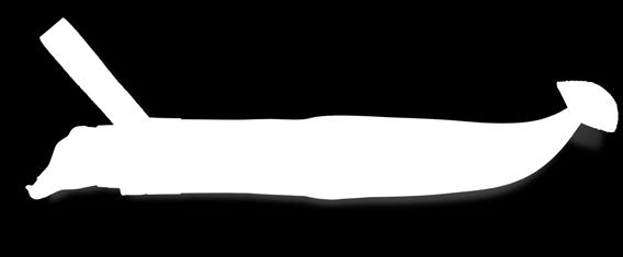 całkowita: 240 mm