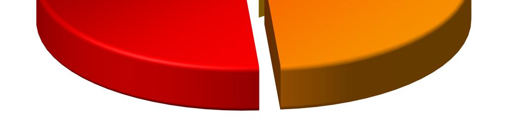 strukturze zatrudnienia przewaŝają ludzie młodzi ponad 48% zatrudnionych nie przekroczyło 35 roku Ŝycia. Wykres 2. Struktura zatrudnienia według wieku.