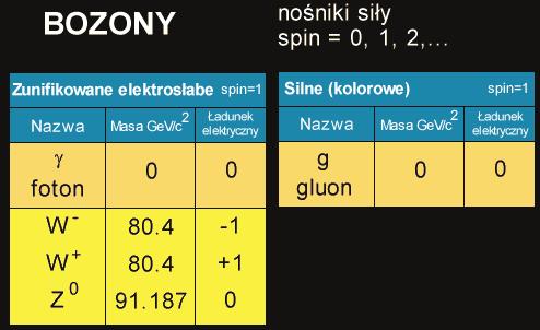 gluony są