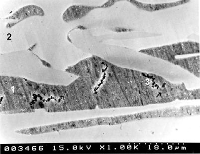 Efekt Kirkendalla-Frenkla w kompozytach aluminiowych z cząstkami aluminidków niklu 91 wa dla porów Frenkla, zidentyfikowanych w niektórych opisanych wcześniej kompozytach, otrzymanych metodami