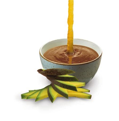 POLEWY MANGO Wysoka zawartość pulpy z mango Naturalne aromaty Doskonały DO PRZEKŁADANIA (np.
