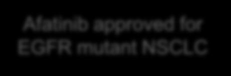 tyrozynowych EGFR i ALK u chorych na NDRP 2014