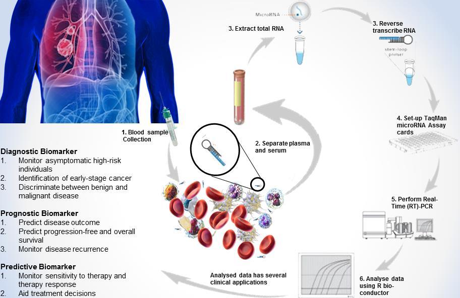 Zastosowanie płynnej biopsji w diagnostyce chorób